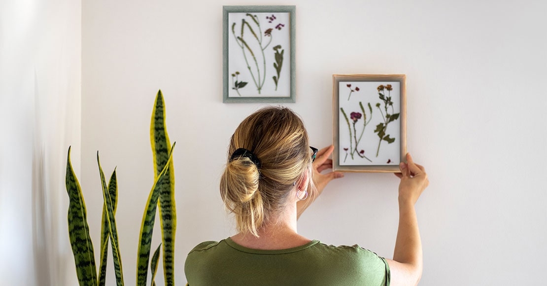 Come scegliere il colore di una cornice: consigli per valorizzare i